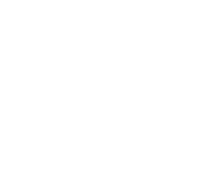 ZUT.run